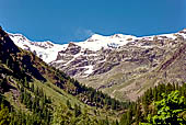 Salita al Passo dei Salati. La vista mostra la testata della valle di Gressoney con i ghiacciai del massiccio del Monte Rosa, in particolare il ghiacciaio del Lys.